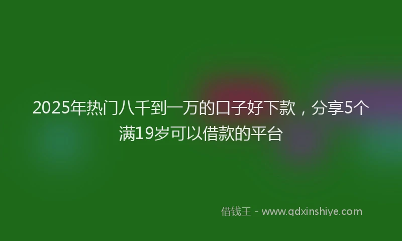 2025年热门八千到一万的口子好下款，分享5个满19岁可以借款的平台