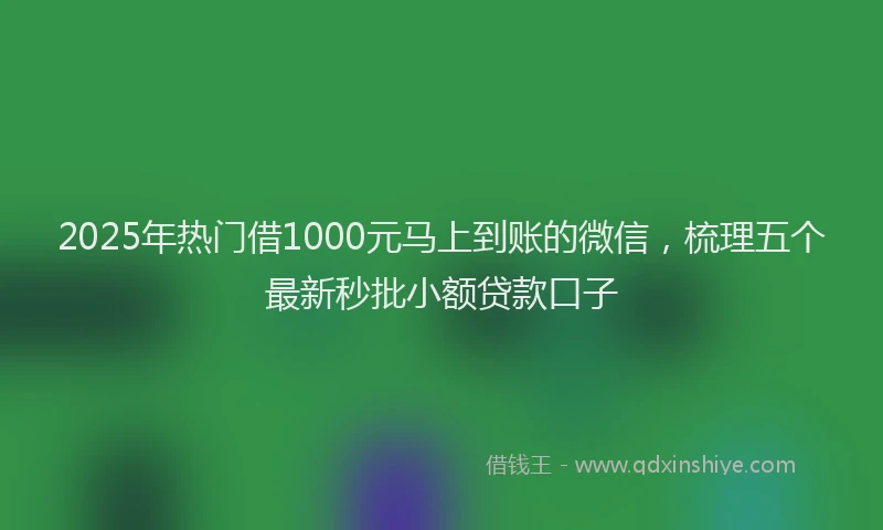 2025年热门借1000元马上到账的微信，梳理五个最新秒批小额贷款口子