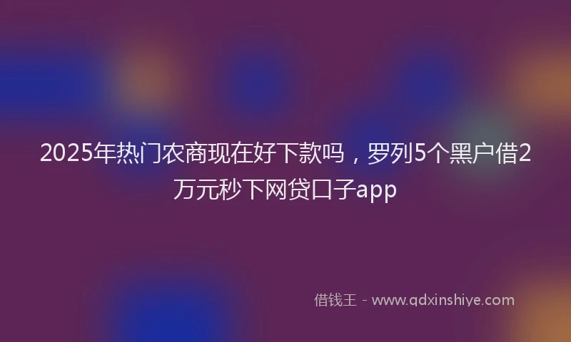 2025年热门农商现在好下款吗，罗列5个黑户借2万元秒下网贷口子app