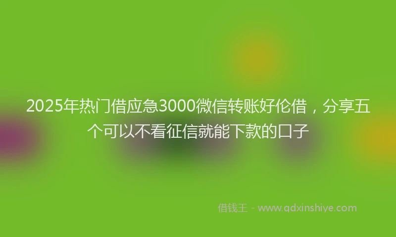 2025年热门借应急3000微信转账好伦借，分享五个可以不看征信就能下款的口子