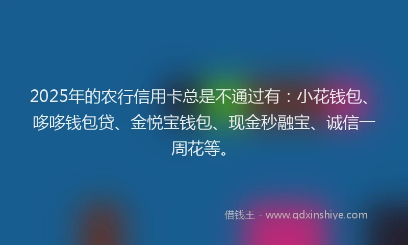 2025年的农行信用卡总是不通过有：小花钱包、哆哆钱包贷、金悦宝钱包、现金秒融宝、诚信一周花等。