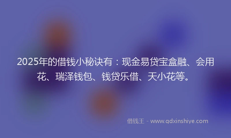 2025年的借钱小秘诀有：现金易贷宝盒融、会用花、瑞泽钱包、钱贷乐借、天小花等。