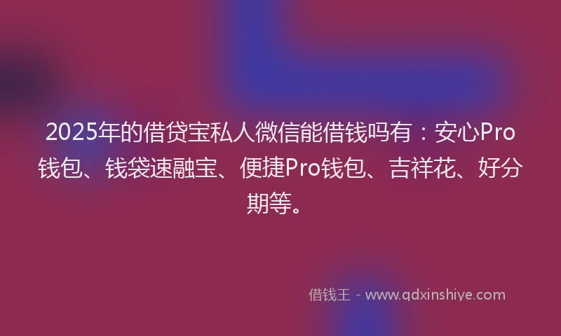 2025年的借贷宝私人微信能借钱吗有：安心Pro钱包、钱袋速融宝、便捷Pro钱包、吉祥花、好分期等。
