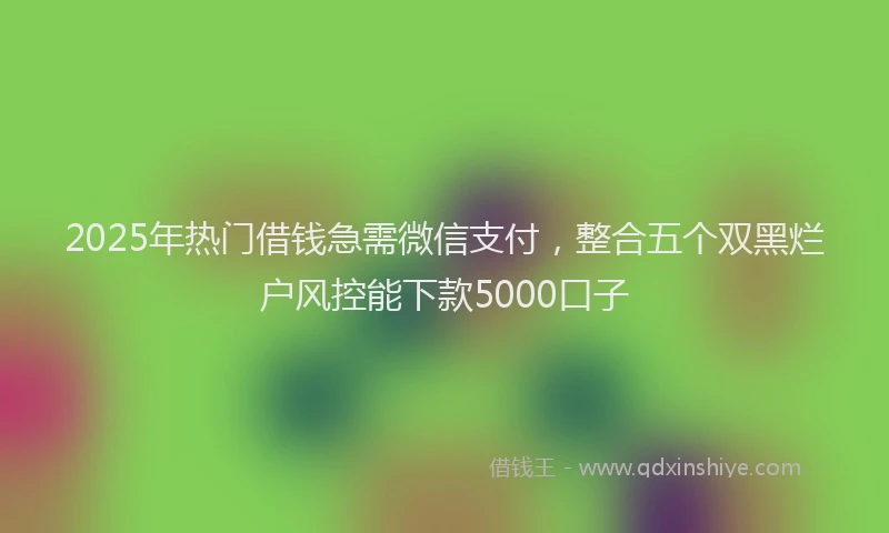 2025年热门借钱急需微信支付，整合五个双黑烂户风控能下款5000口子