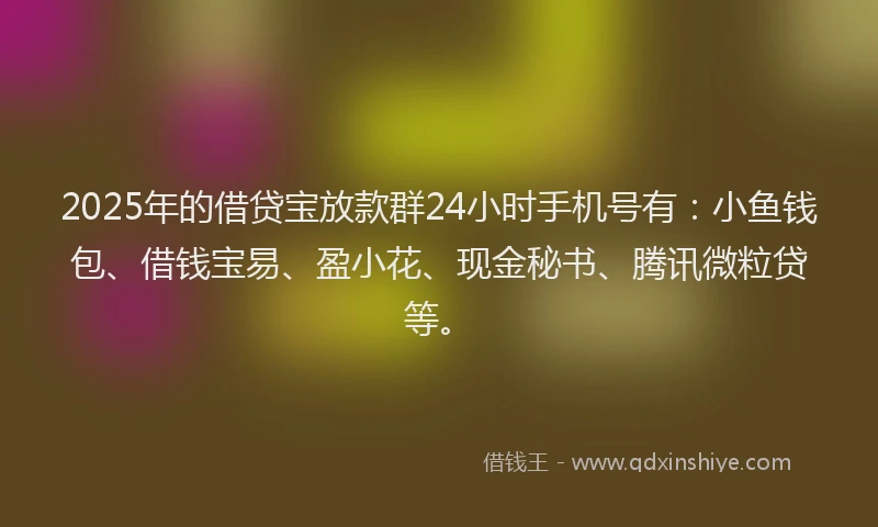 2025年的借贷宝放款群24小时手机号有：小鱼钱包、借钱宝易、盈小花、现金秘书、腾讯微粒贷等。