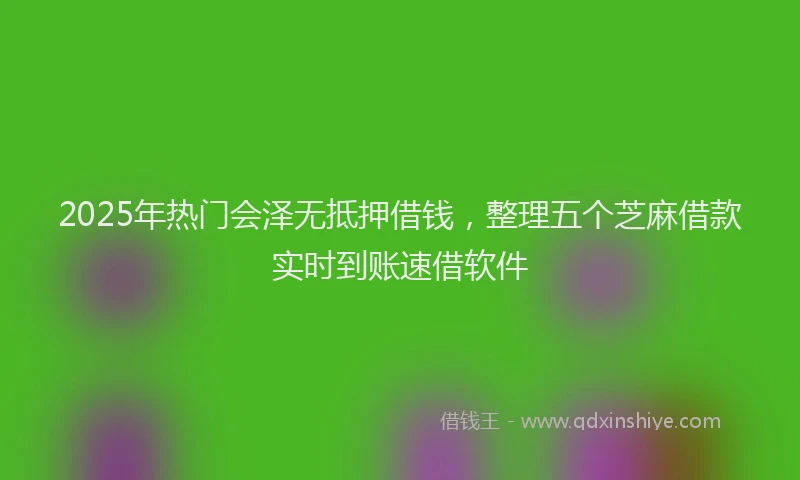 2025年热门会泽无抵押借钱，整理五个芝麻借款实时到账速借软件