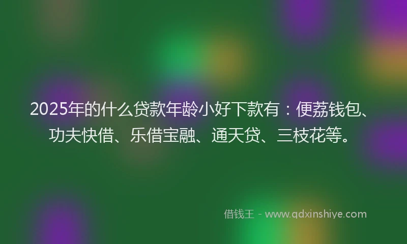 2025年的什么贷款年龄小好下款有：便荔钱包、功夫快借、乐借宝融、通天贷、三枝花等。