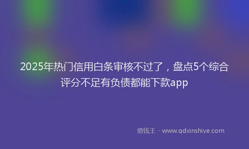 2025年热门信用白条审核不过了，盘点5个综合评分不足有负债都能下款app