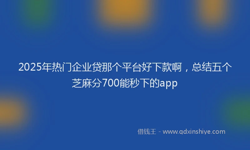 2025年热门企业贷那个平台好下款啊，总结五个芝麻分700能秒下的app