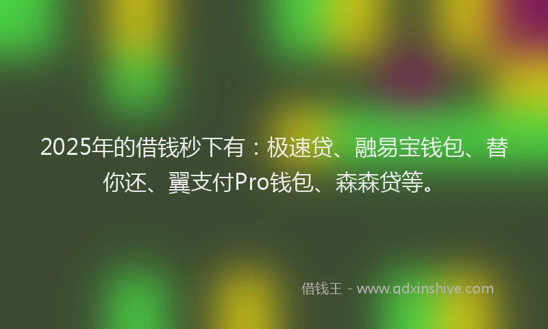 2025年的借钱秒下有：极速贷、融易宝钱包、替你还、翼支付Pro钱包、森森贷等。