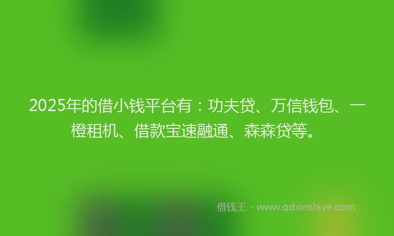 2025年的借小钱平台有：功夫贷、万信钱包、一橙租机、借款宝速融通、森森贷等。