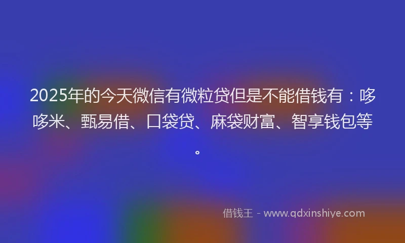 2025年的今天微信有微粒贷但是不能借钱有：哆哆米、甄易借、口袋贷、麻袋财富、智享钱包等。