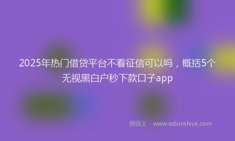 2025年热门借贷平台不看征信可以吗，概括5个无视黑白户秒下款口子app