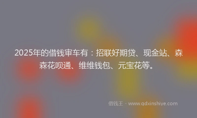 2025年的借钱审车有：招联好期贷、现金站、森森花呗通、维维钱包、元宝花等。