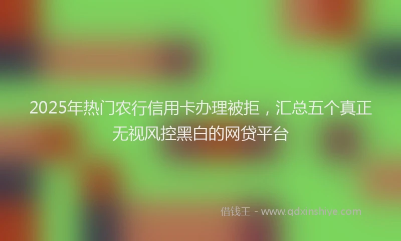 2025年热门农行信用卡办理被拒，汇总五个真正无视风控黑白的网贷平台