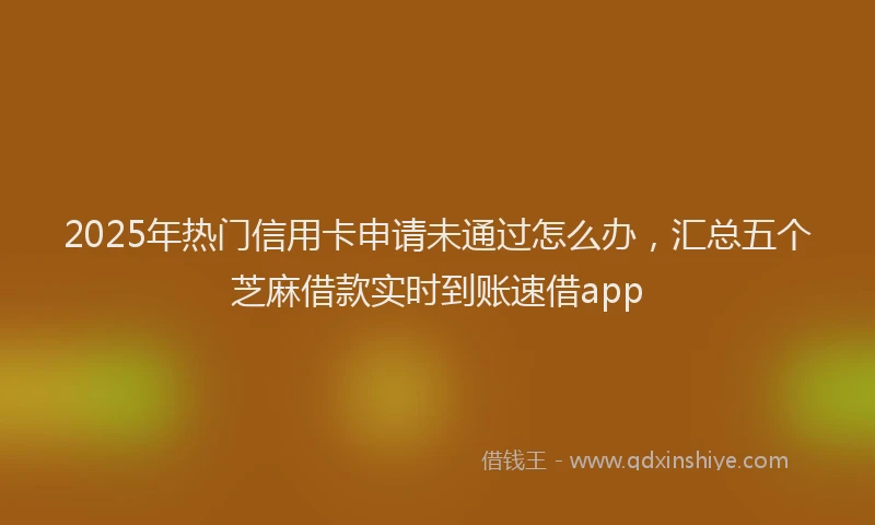 2025年热门信用卡申请未通过怎么办，汇总五个芝麻借款实时到账速借app