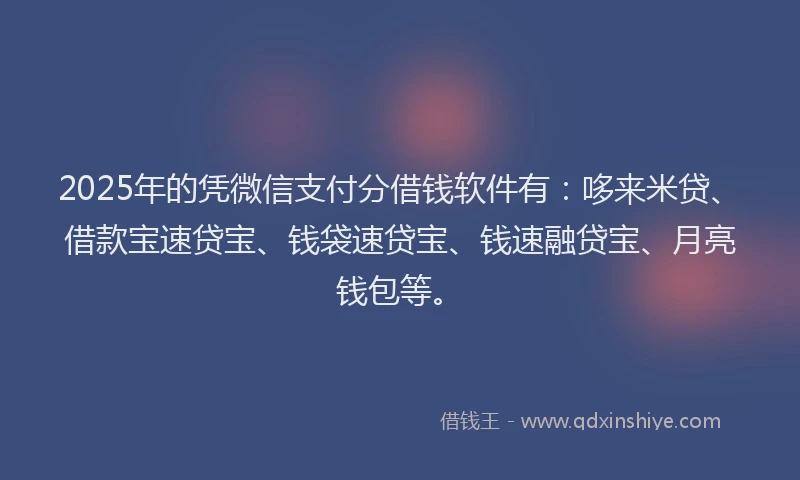 2025年的凭微信支付分借钱软件有：哆来米贷、借款宝速贷宝、钱袋速贷宝、钱速融贷宝、月亮钱包等。