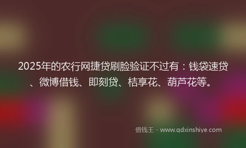 2025年的农行网捷贷刷脸验证不过有：钱袋速贷、微博借钱、即刻贷、桔享花、葫芦花等。