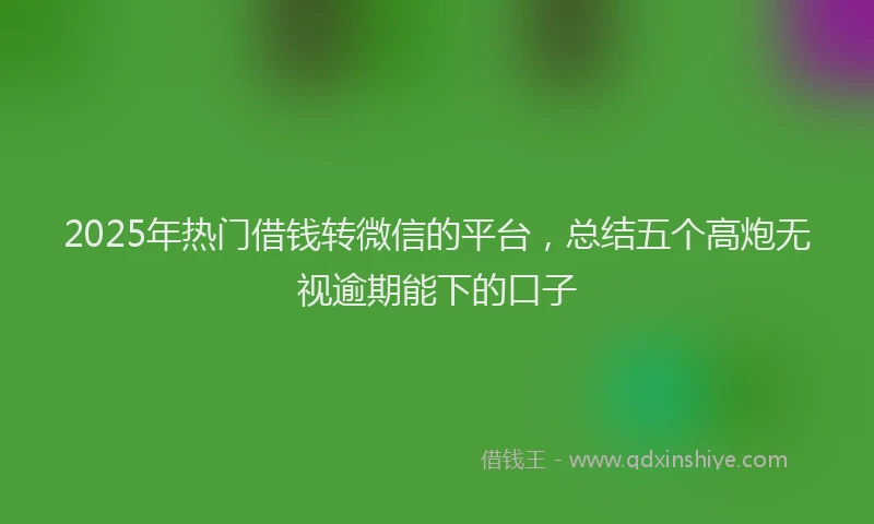 2025年热门借钱转微信的平台，总结五个高炮无视逾期能下的口子