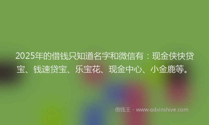 2025年的借钱只知道名字和微信有：现金侠快贷宝、钱速贷宝、乐宝花、现金中心、小金鹿等。