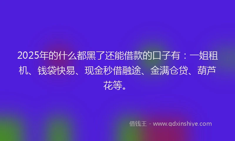 2025年的什么都黑了还能借款的口子有：一姐租机、钱袋快易、现金秒借融途、金满仓贷、葫芦花等。