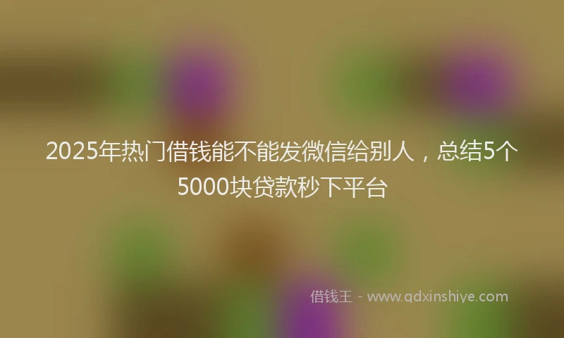 2025年热门借钱能不能发微信给别人，总结5个5000块贷款秒下平台