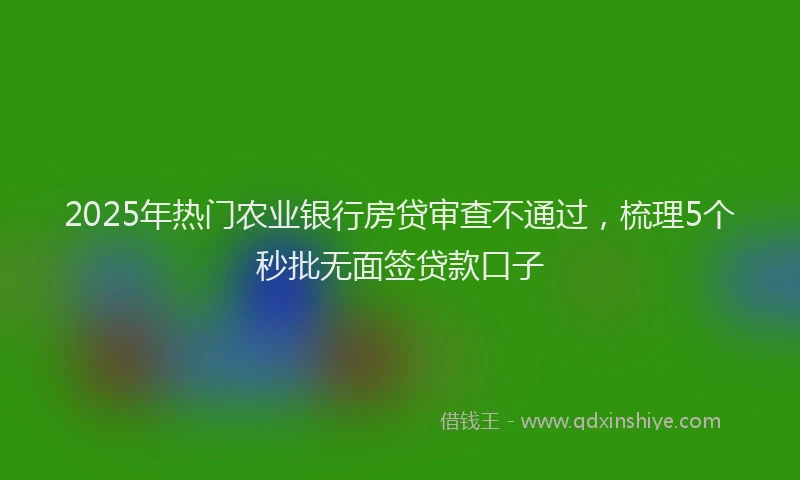 2025年热门农业银行房贷审查不通过，梳理5个秒批无面签贷款口子