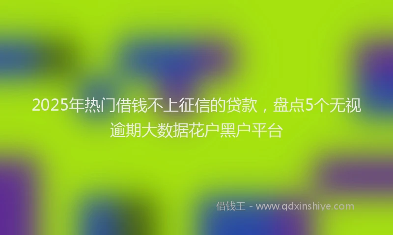 2025年热门借钱不上征信的贷款，盘点5个无视逾期大数据花户黑户平台