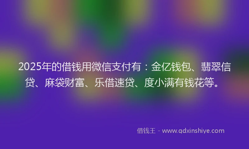 2025年的借钱用微信支付有：金亿钱包、翡翠信贷、麻袋财富、乐借速贷、度小满有钱花等。