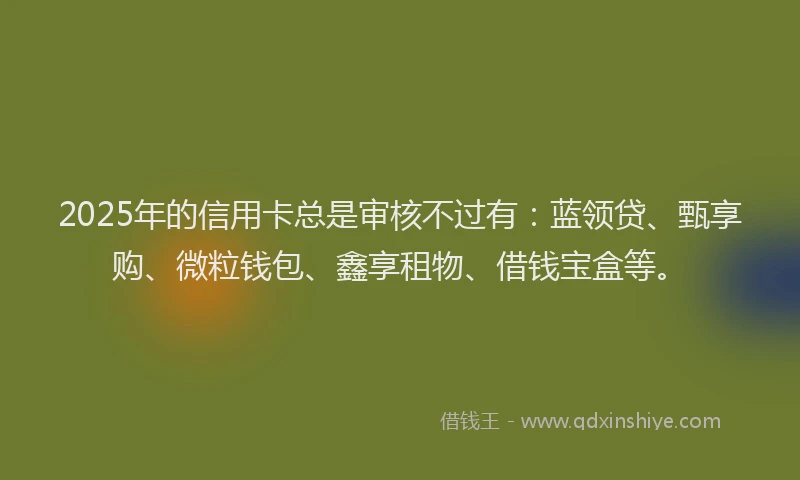 2025年的信用卡总是审核不过有：蓝领贷、甄享购、微粒钱包、鑫享租物、借钱宝盒等。