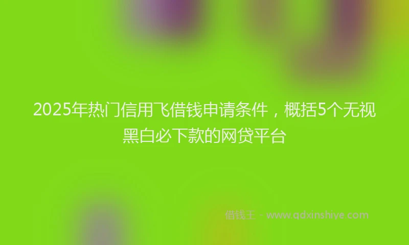 2025年热门信用飞借钱申请条件，概括5个无视黑白必下款的网贷平台