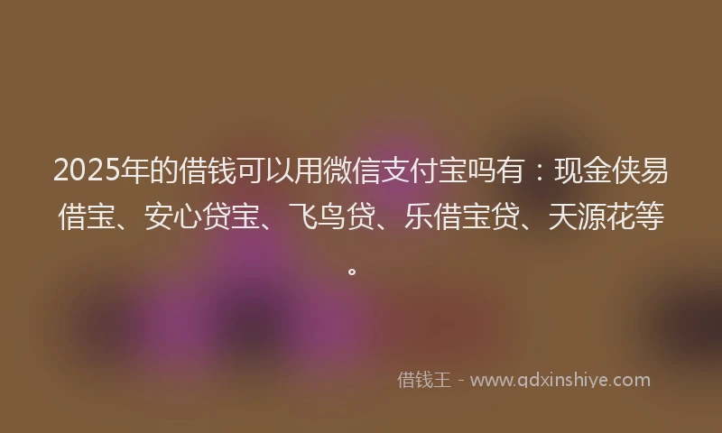2025年的借钱可以用微信支付宝吗有：现金侠易借宝、安心贷宝、飞鸟贷、乐借宝贷、天源花等。
