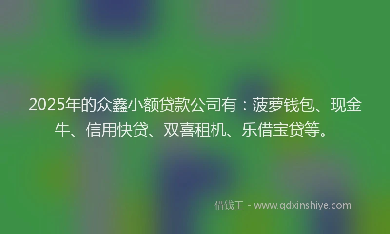 2025年的众鑫小额贷款公司有：菠萝钱包、现金牛、信用快贷、双喜租机、乐借宝贷等。