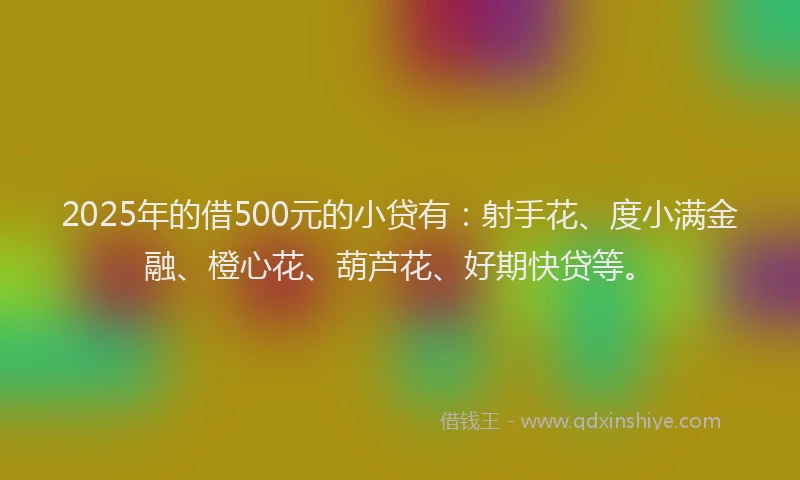 2025年的借500元的小贷有：射手花、度小满金融、橙心花、葫芦花、好期快贷等。