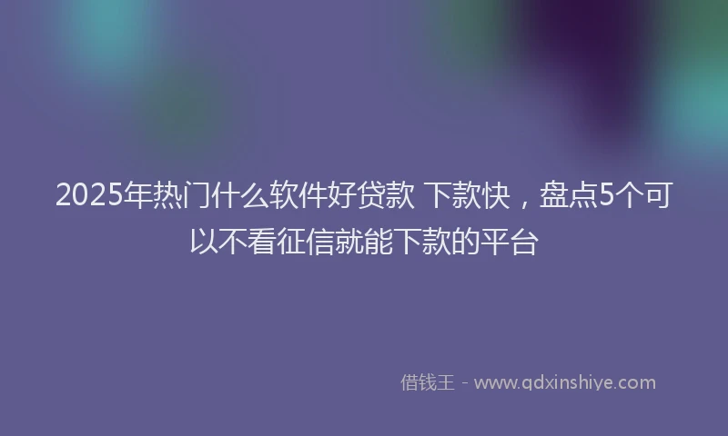 2025年热门什么软件好贷款 下款快，盘点5个可以不看征信就能下款的平台
