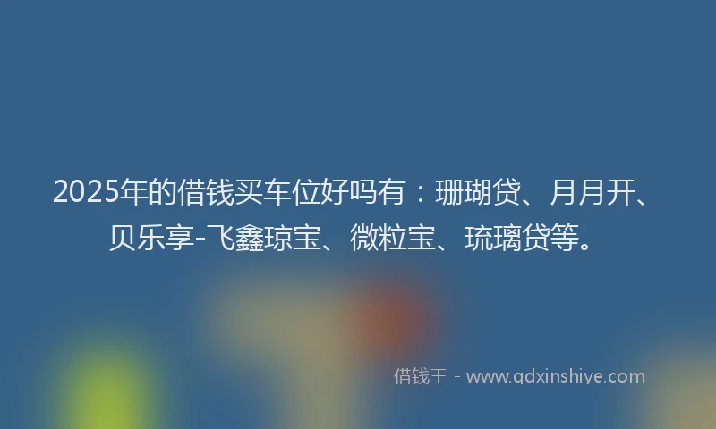 2025年的借钱买车位好吗有：珊瑚贷、月月开、贝乐享-飞鑫琼宝、微粒宝、琉璃贷等。