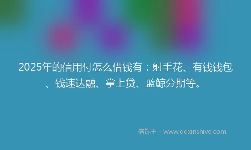 2025年的信用付怎么借钱有：射手花、有钱钱包、钱速达融、掌上贷、蓝鲸分期等。