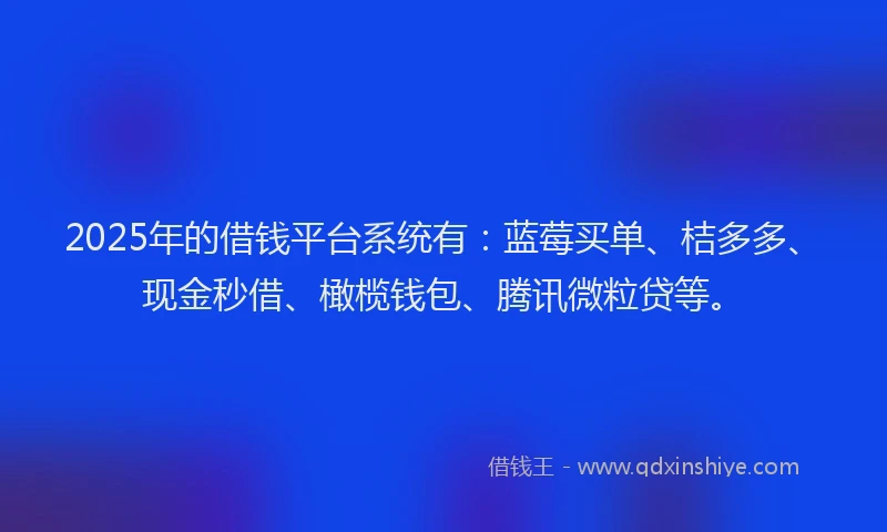 2025年的借钱平台系统有：蓝莓买单、桔多多、现金秒借、橄榄钱包、腾讯微粒贷等。