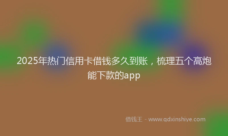 2025年热门信用卡借钱多久到账，梳理五个高炮能下款的app