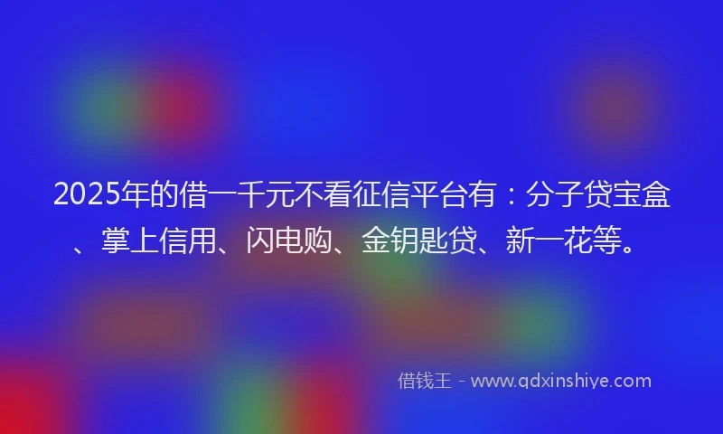 2025年的借一千元不看征信平台有：分子贷宝盒、掌上信用、闪电购、金钥匙贷、新一花等。