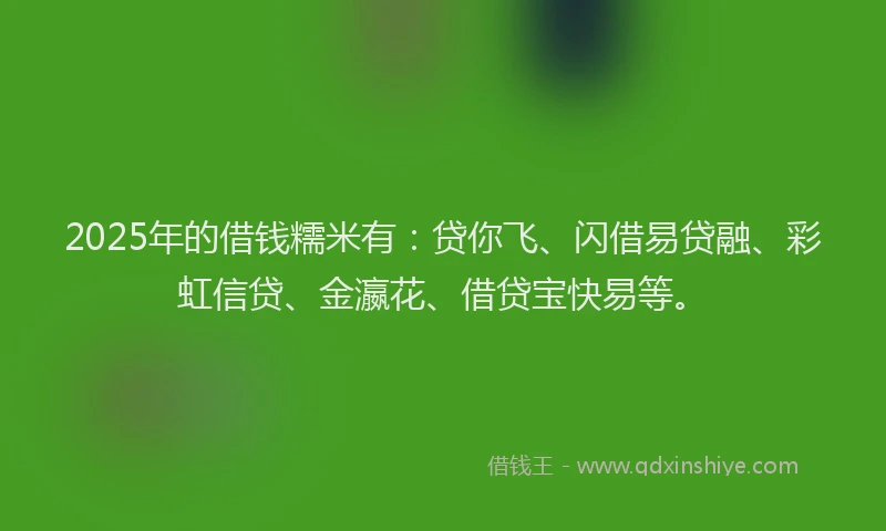 2025年的借钱糯米有：贷你飞、闪借易贷融、彩虹信贷、金瀛花、借贷宝快易等。