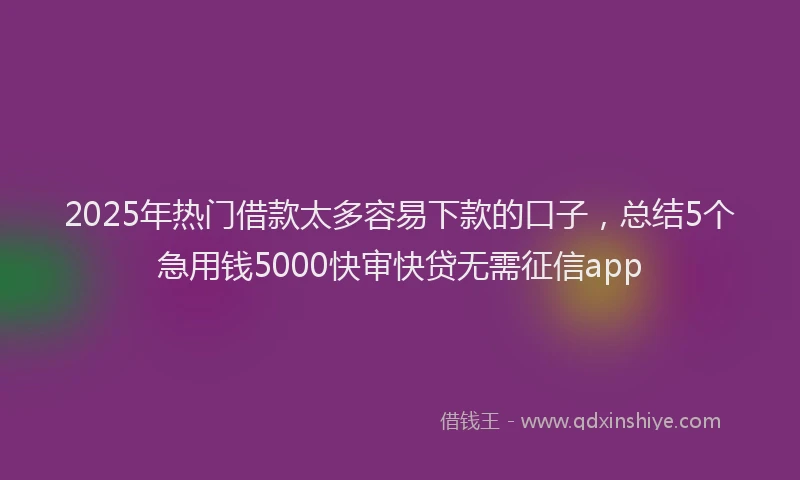 2025年热门借款太多容易下款的口子，总结5个急用钱5000快审快贷无需征信app