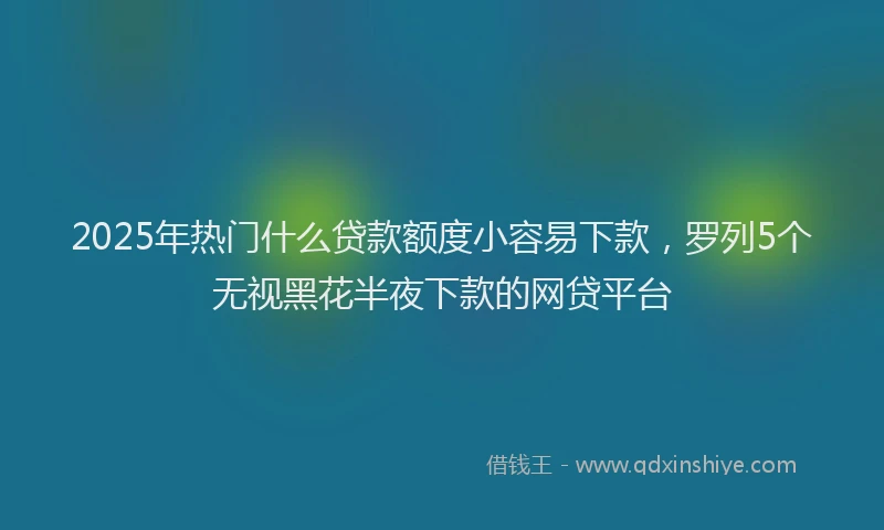 2025年热门什么贷款额度小容易下款，罗列5个无视黑花半夜下款的网贷平台