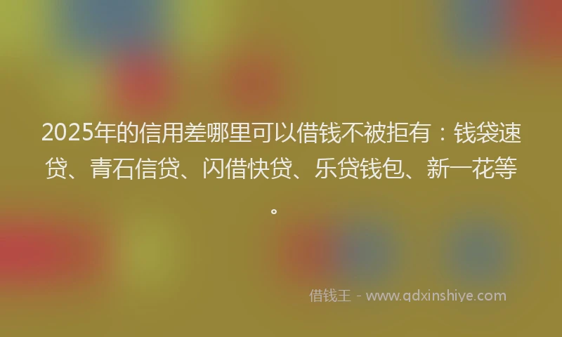 2025年的信用差哪里可以借钱不被拒有：钱袋速贷、青石信贷、闪借快贷、乐贷钱包、新一花等。