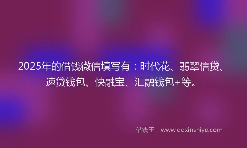 2025年的借钱微信填写有：时代花、翡翠信贷、速贷钱包、快融宝、汇融钱包+等。