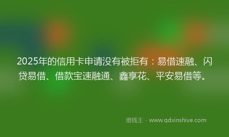 2025年的信用卡申请没有被拒有：易借速融、闪贷易借、借款宝速融通、鑫享花、平安易借等。