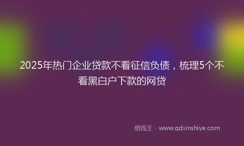 2025年热门企业贷款不看征信负债，梳理5个不看黑白户下款的网贷