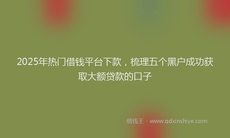 2025年热门借钱平台下款，梳理五个黑户成功获取大额贷款的口子
