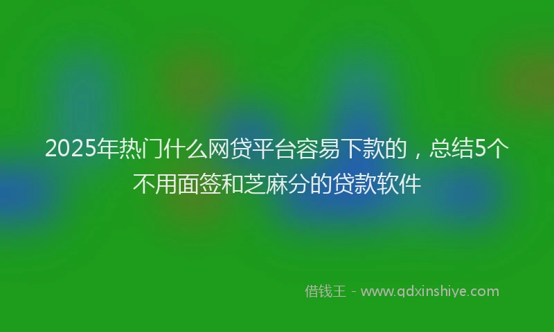 2025年热门什么网贷平台容易下款的，总结5个不用面签和芝麻分的贷款软件