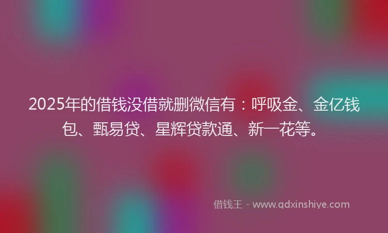 2025年的借钱没借就删微信有：呼吸金、金亿钱包、甄易贷、星辉贷款通、新一花等。